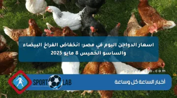 أسعار الدواجن اليوم في مصر: انخفاض الفراخ البيضاء والساسو الخميس 8 مايو 2025